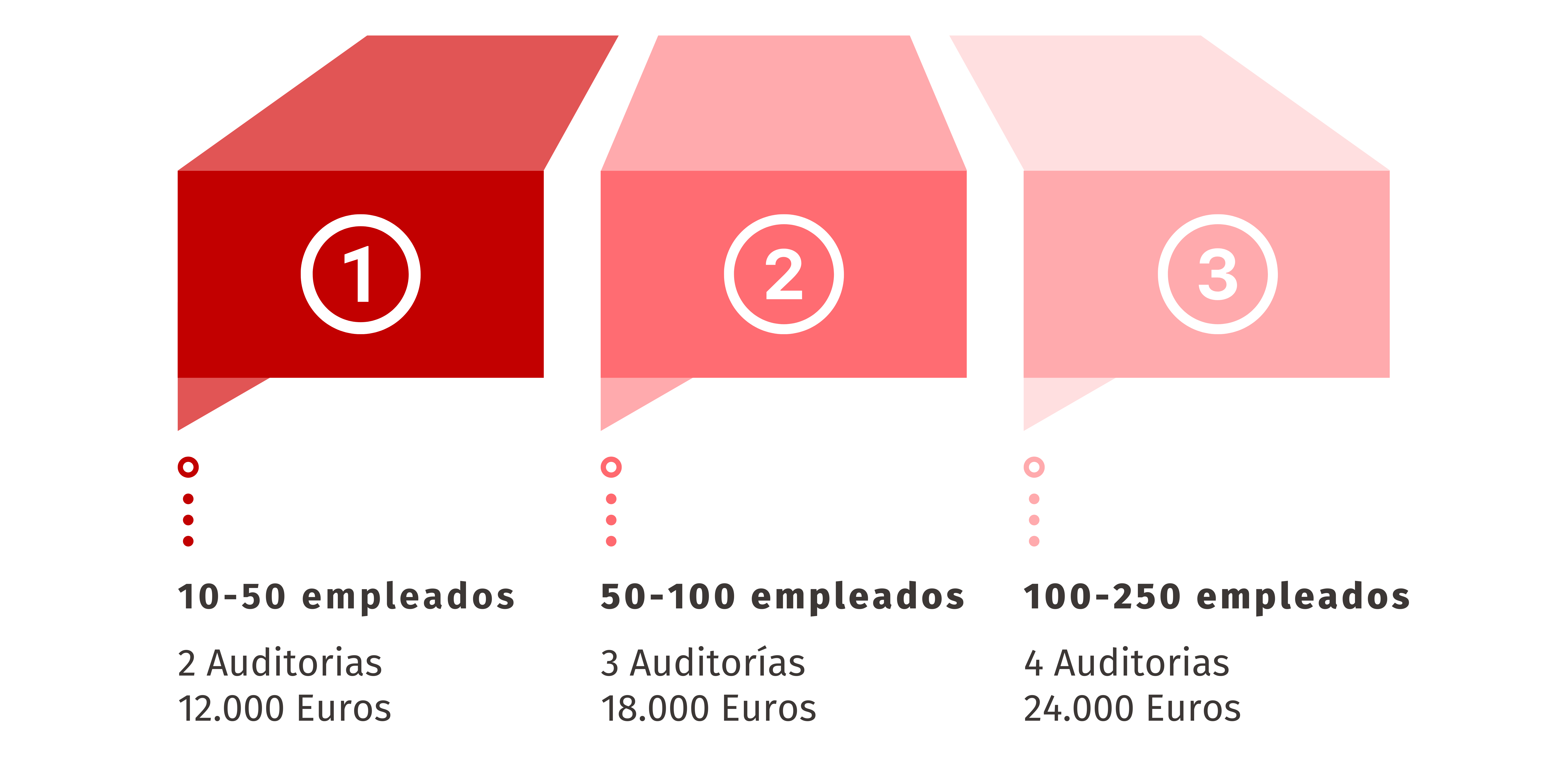 Nuestro proceso de trabajo